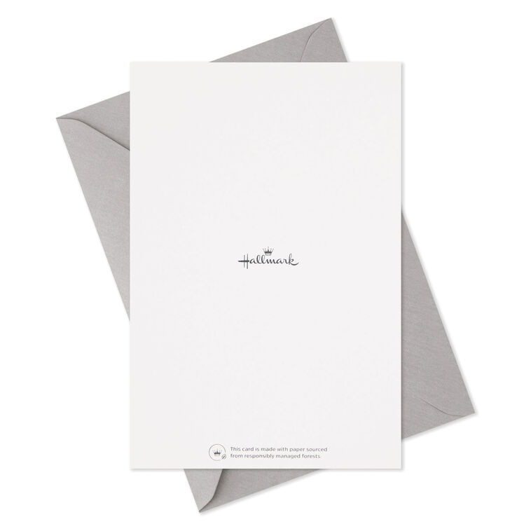 Serene Photo Assortment Sympathy Cards, Pack of 16, , large image number 6