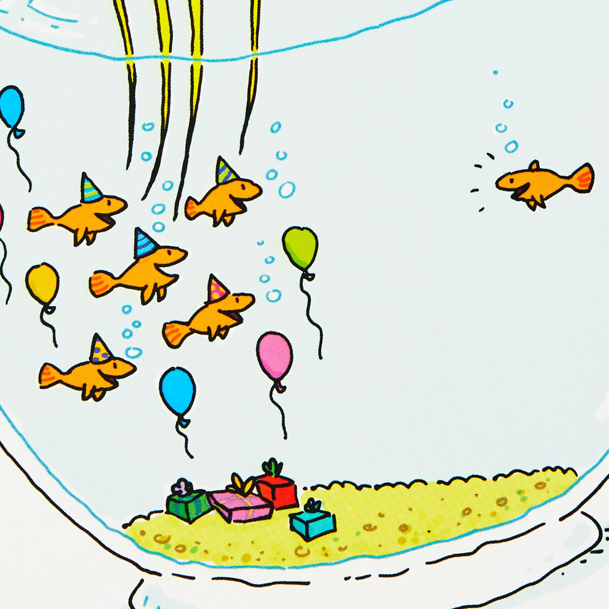 Funny Assorted Boxed Blank Birthday Cards, Pack of 12 Boxed Cards