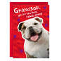 You're the Best Paws Down Valentine's Day Card for Grandson, , large image number 1