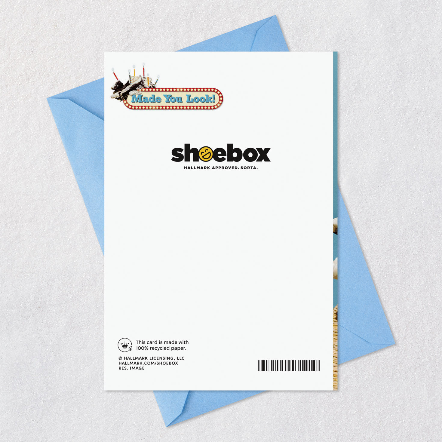 Smashed Cake Funny Birthday Card Card Back with Envelope image number 7