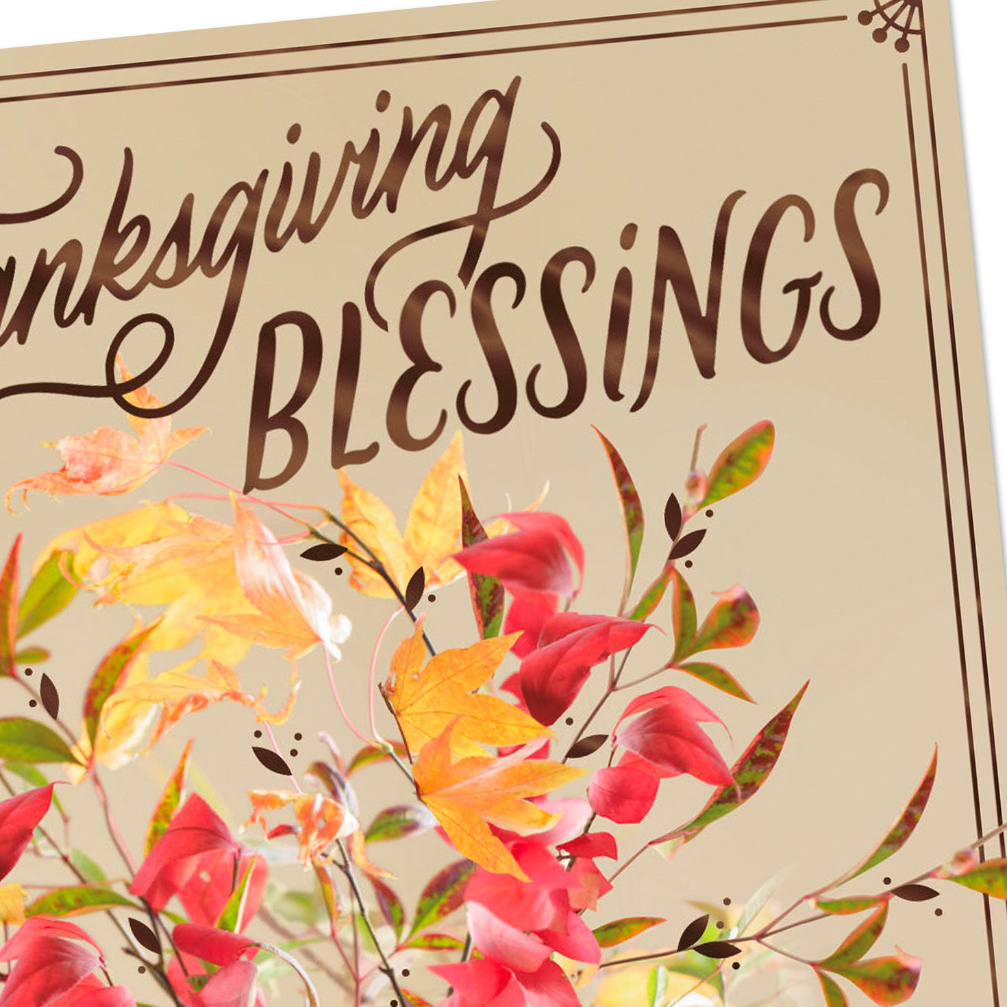 Fall Flowers and Blessings Thanksgiving Card Pack Cover Detail image number 4