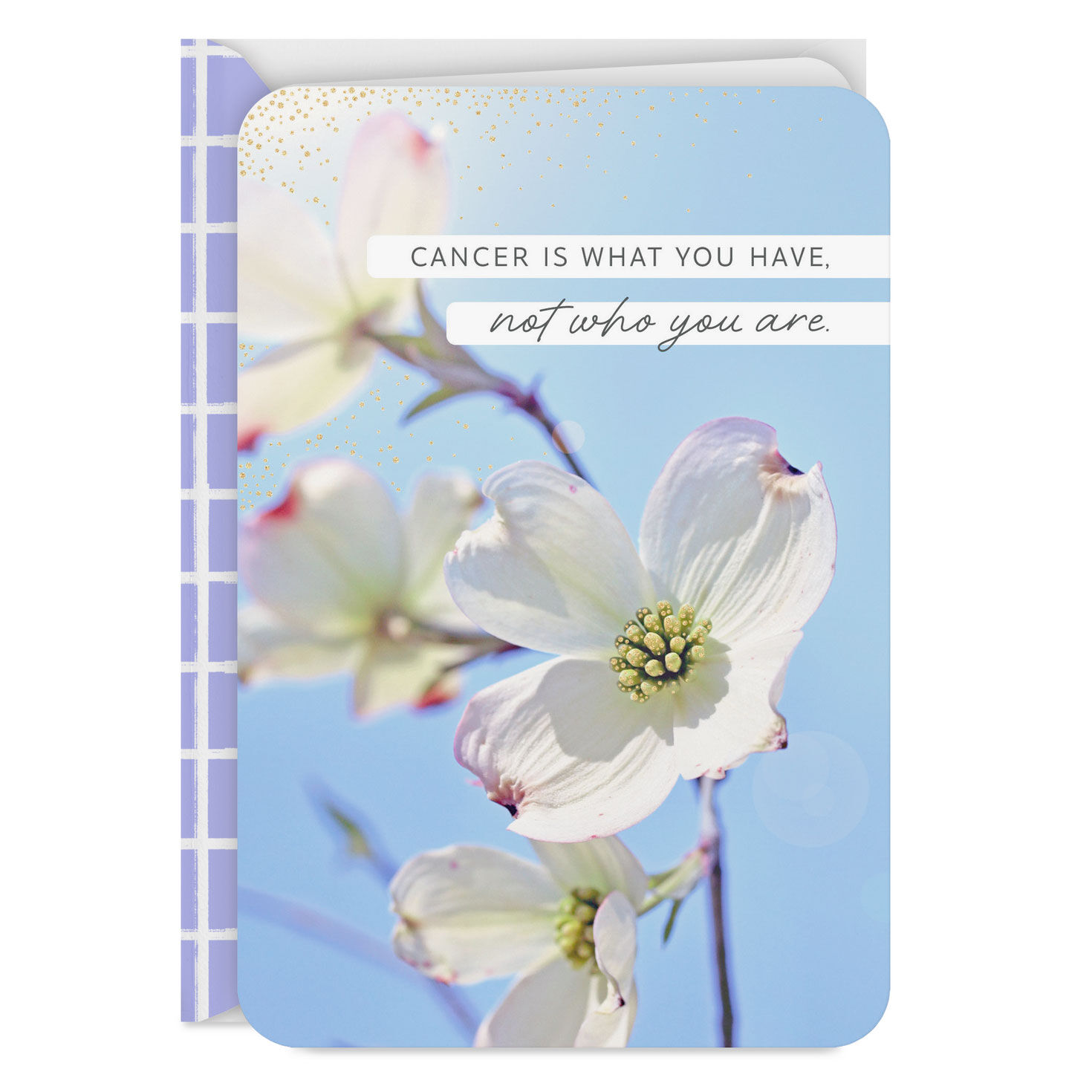 Dogwood Flowers Cancer Support Encouragement Card Card Front image number 1