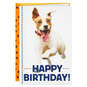 Celebrate Like Someone Forgot to Lock the Gate Birthday Card, , large image number 1