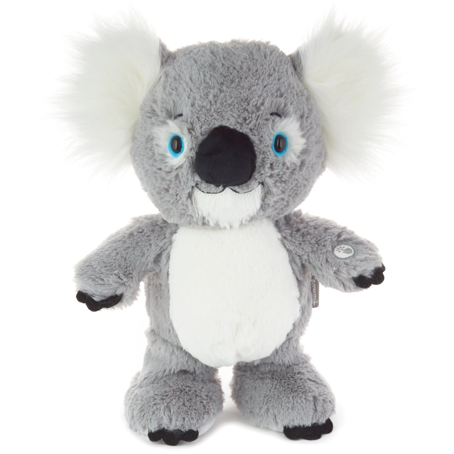 koala stuffed animal in store
