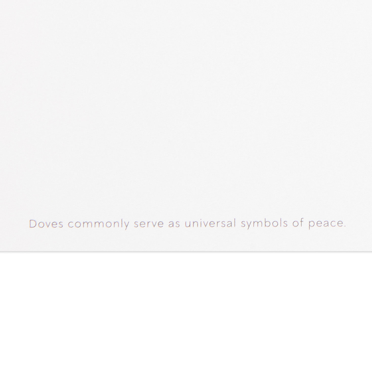 UNICEF Peaceful Earth Ornament Boxed Christmas Cards, Pack of 12 for only USD 20.50 | Hallmark