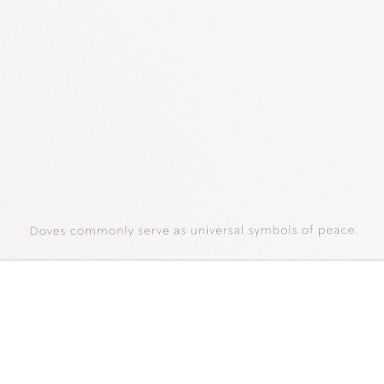 Dove and Globe UNICEF Boxed Christmas Cards Sentiment image number 5