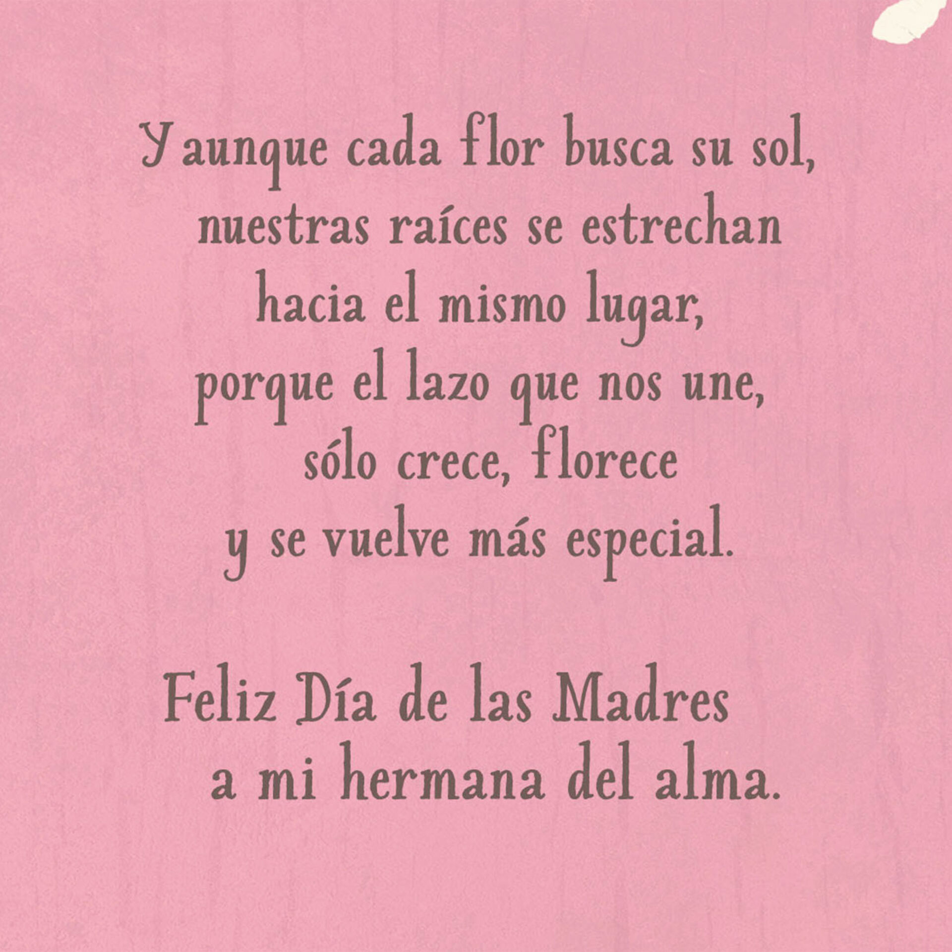 Sister Bond Religious Spanish Language Mother S Day Card Greeting Cards Hallmark