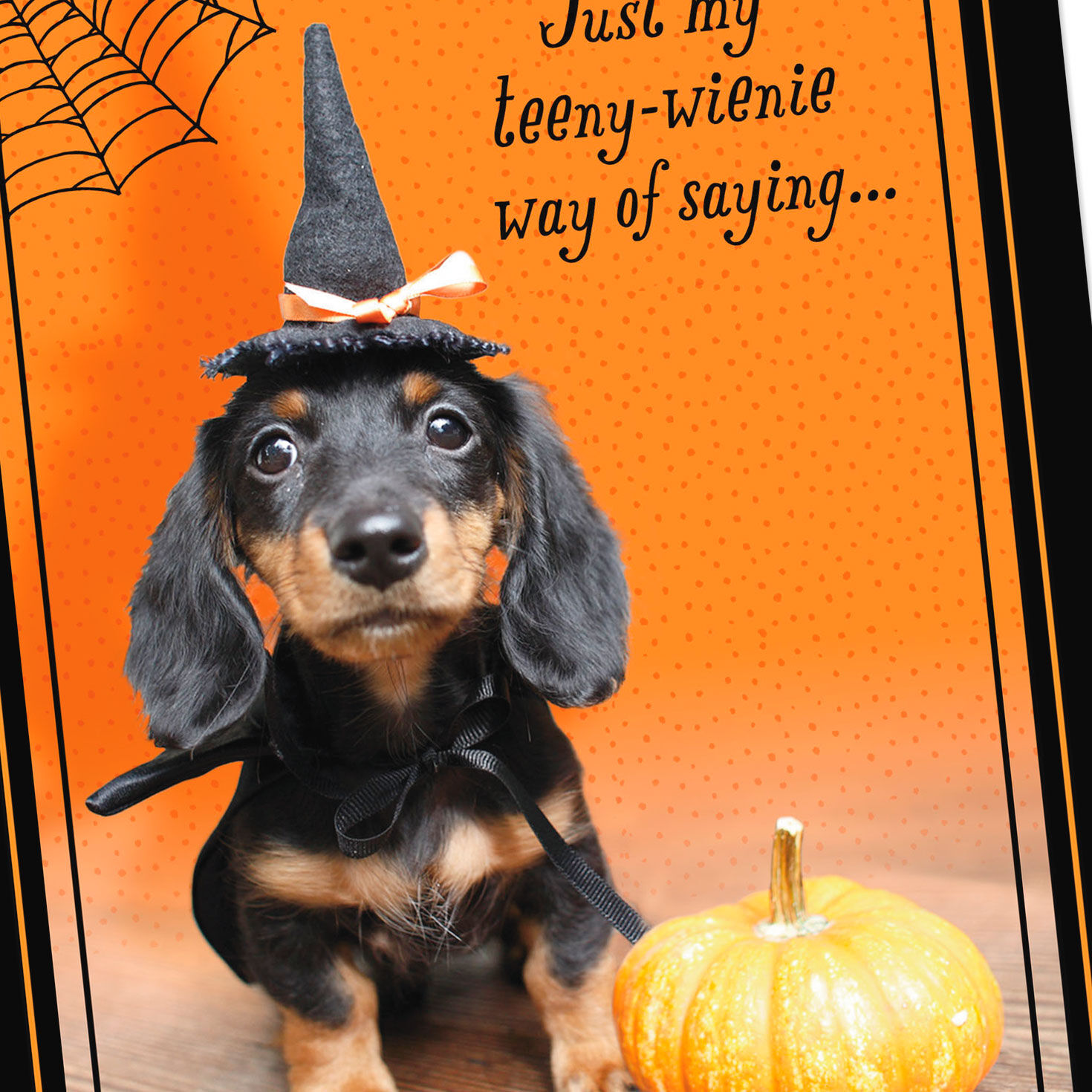 Dachshund Dog and Pumpkin Halloween Card Card Front Detail image number 4