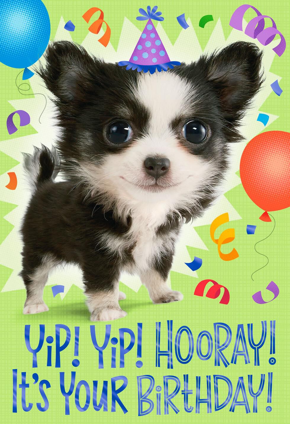 Yip Yip Hooray! Birthday Card for Nephew
