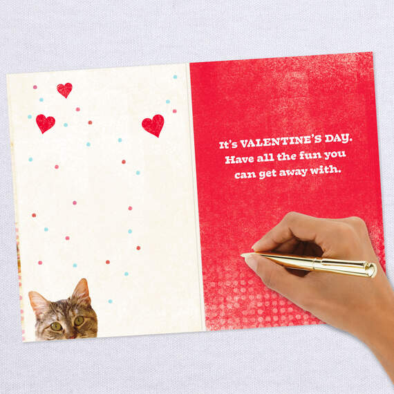 Cat and Chocolate Funny Valentine's Day Card, , large image number 6