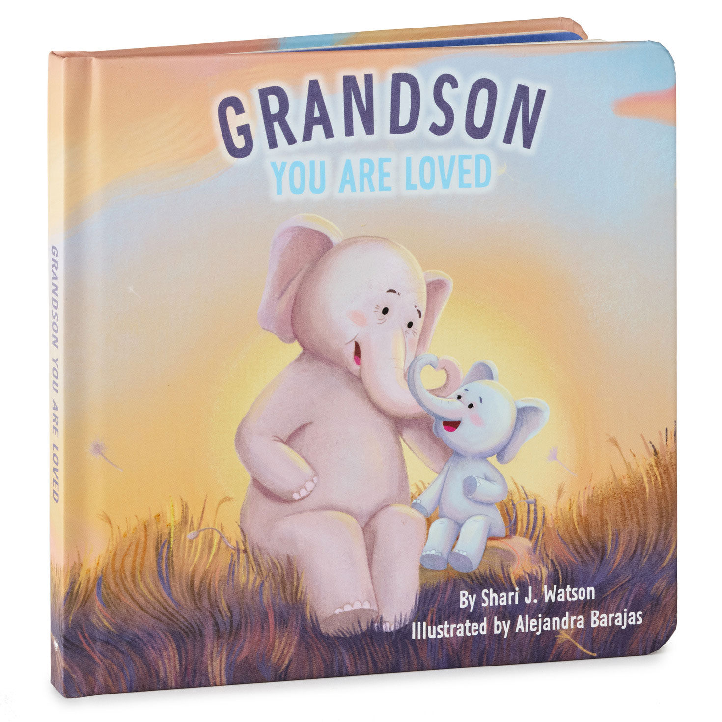 Grandson You Are Loved Board Book