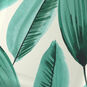 Palm Leaves Print Square Dinner Plates, Set of 8, , large image number 4