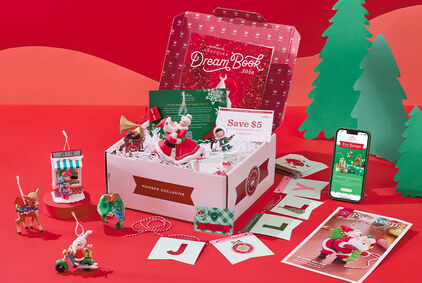 2026 Dream Box and contents on a table