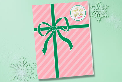 2026 Dream Book. Pink cover with dark green bow on light green background