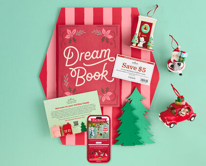 Dream Box contents, including exclusive ornaments.