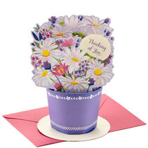 Daisy Flower Bouquet 3D Pop-Up Thinking of You Card with envelope.