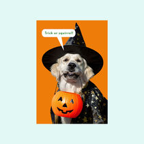 All Your Favorite Treats Funny Halloween Card