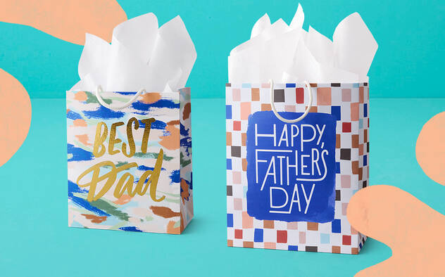 Two Fathers Day gift bags on blue background.