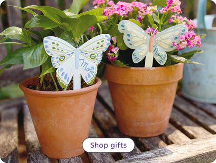 Shop gifts