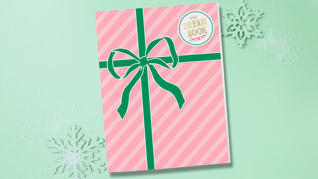 Wrapped 2026 Dream Book on a green background