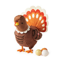 Egg-Laying Turkey with eggs