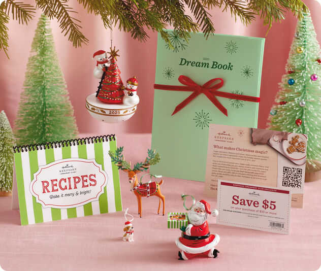 Contents of the 2025 Dream Box on a pink background.