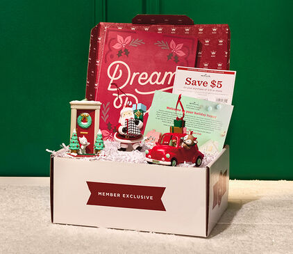Contents of the 2027 Dream Box