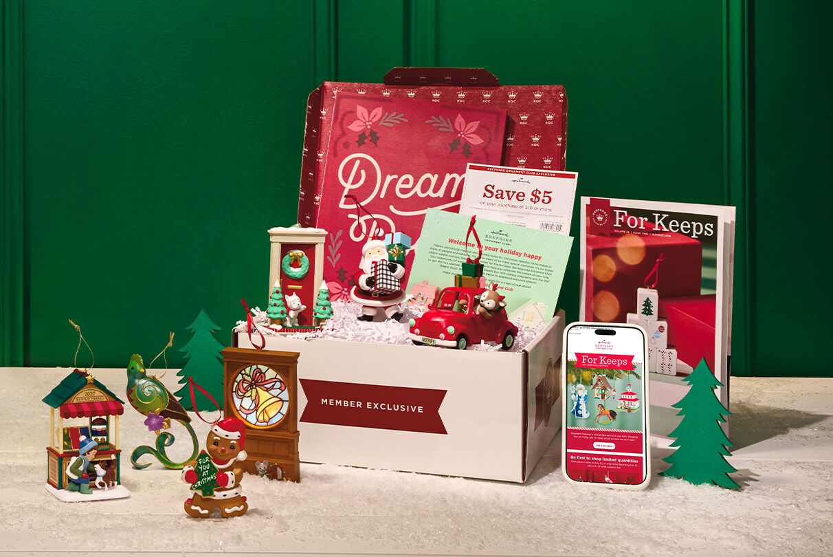 2027 Dream Box and contents on a table