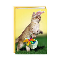 Easter card cover with cat wearing bunny ears and carrying basket of colorful eggs.