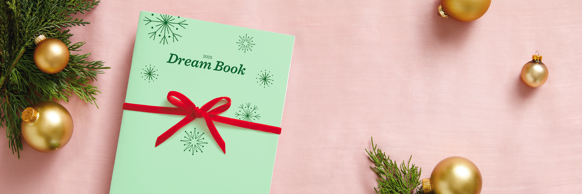 2025 Dream Book wrapped in green paper and a red bow.