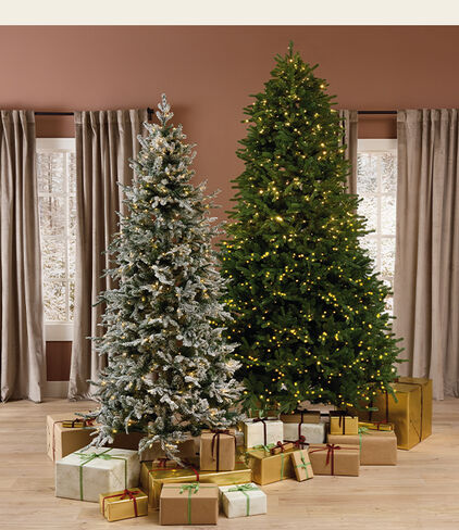 2 lit Christmas trees with wrapped gifts