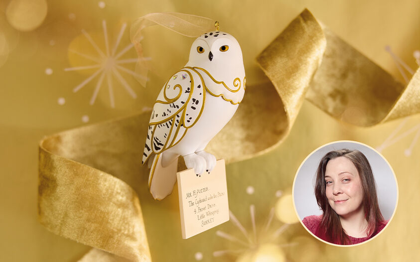 Hedwig&trade; holding Harry Potters Hogwarts letter on a gold background with image of Emma Leturgez in lower right corner. 