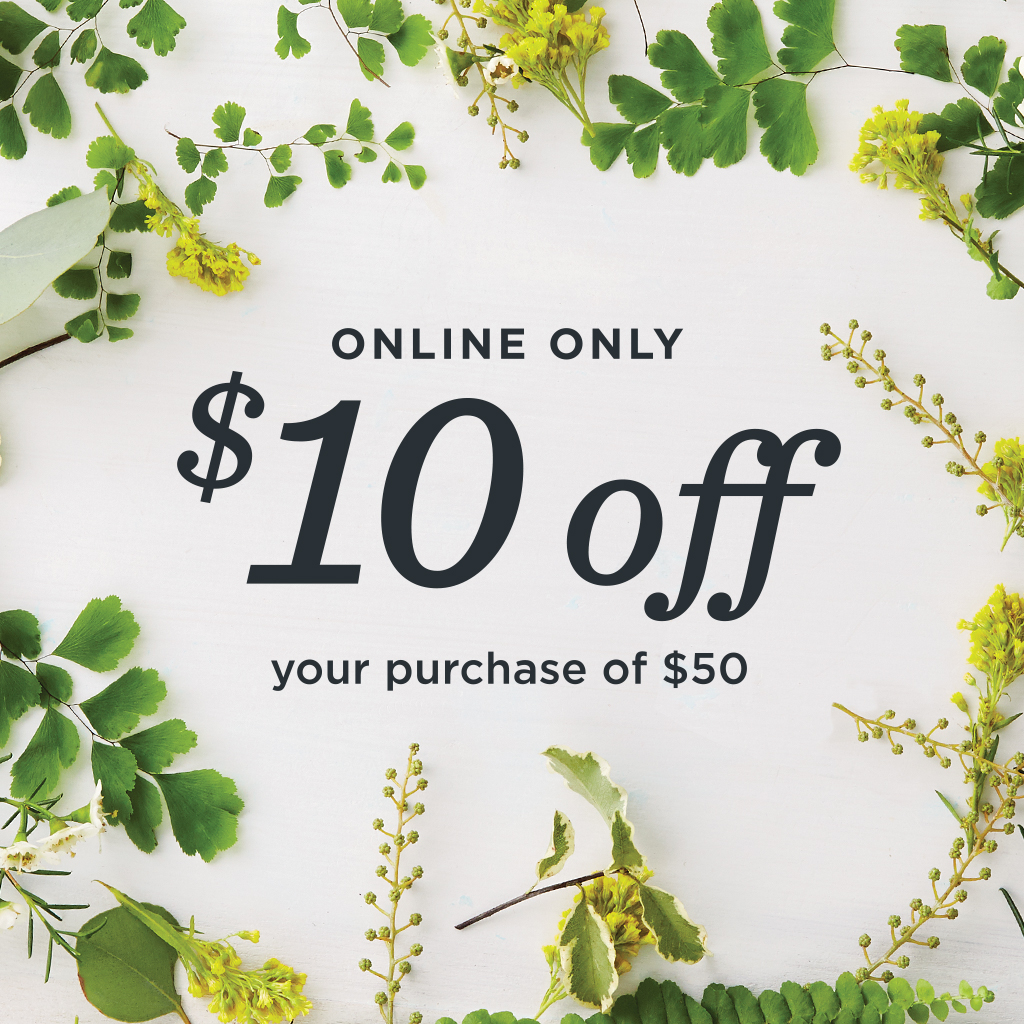 Save $10 on your purchase of $50 or more