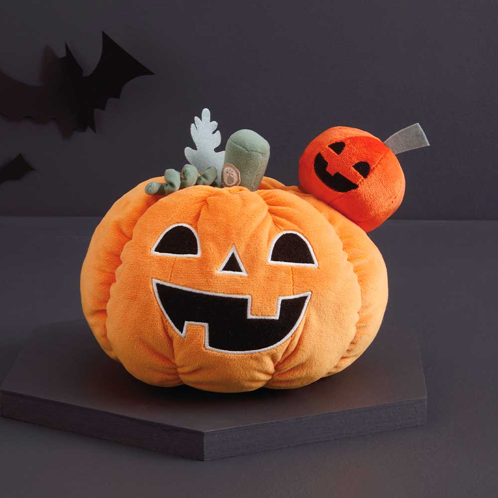 Tricks or Treats Pumpkins