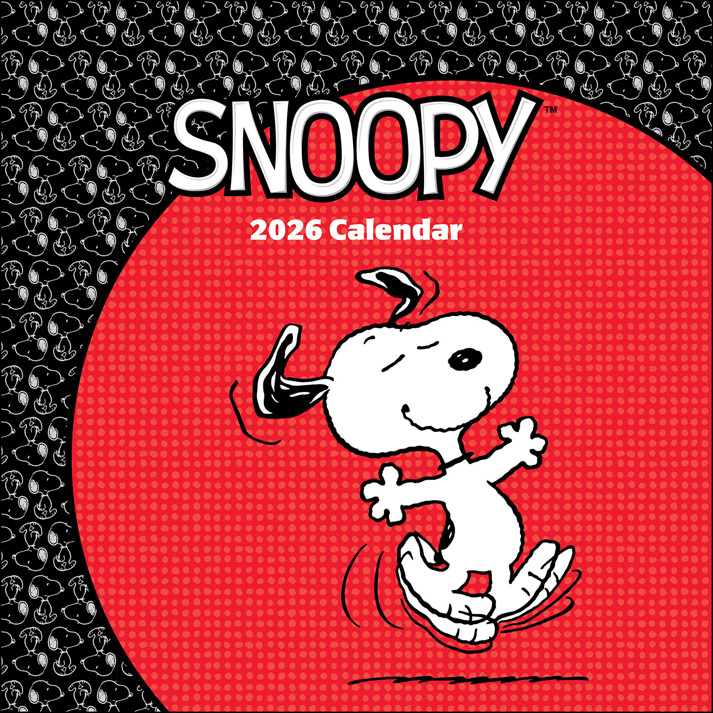 Peanuts Snoopy 2026 Wall Calendar - Calendars & Planners | Hallmark