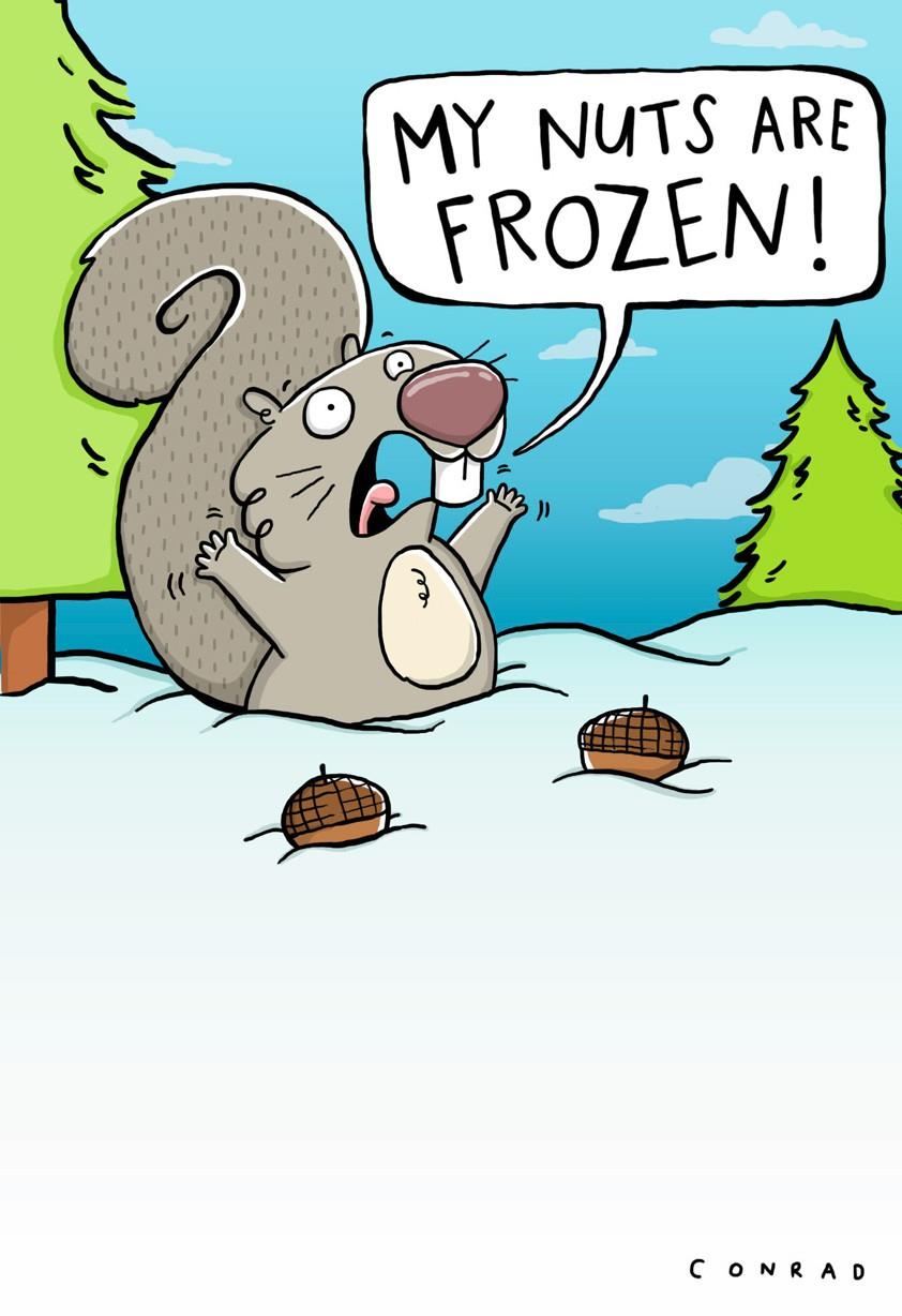Frozen Nuts Funny Christmas Card - Greeting Cards - Hallmark