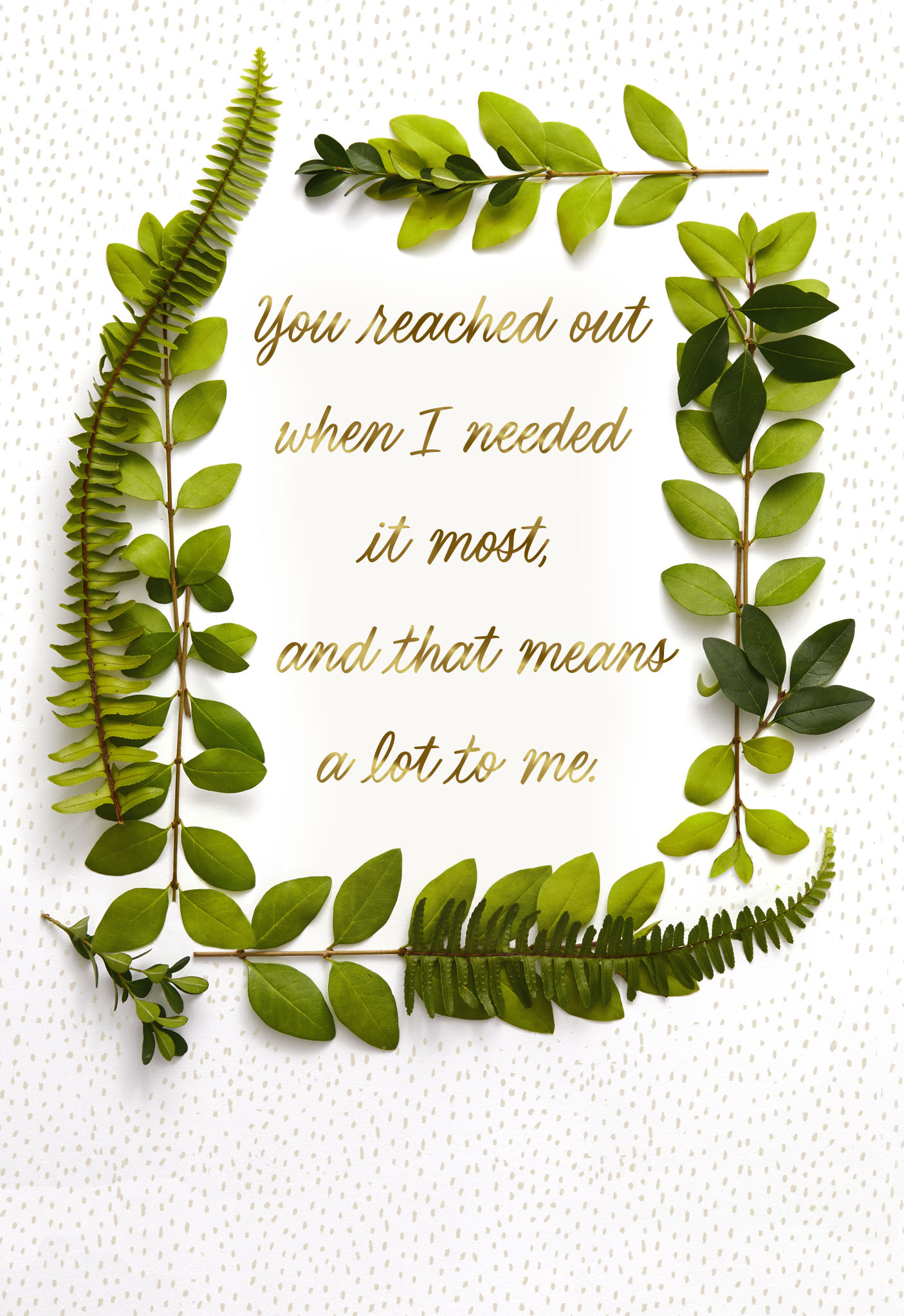 Your Caring Means a Lot Sympathy Thank-You Card, , hgs-image