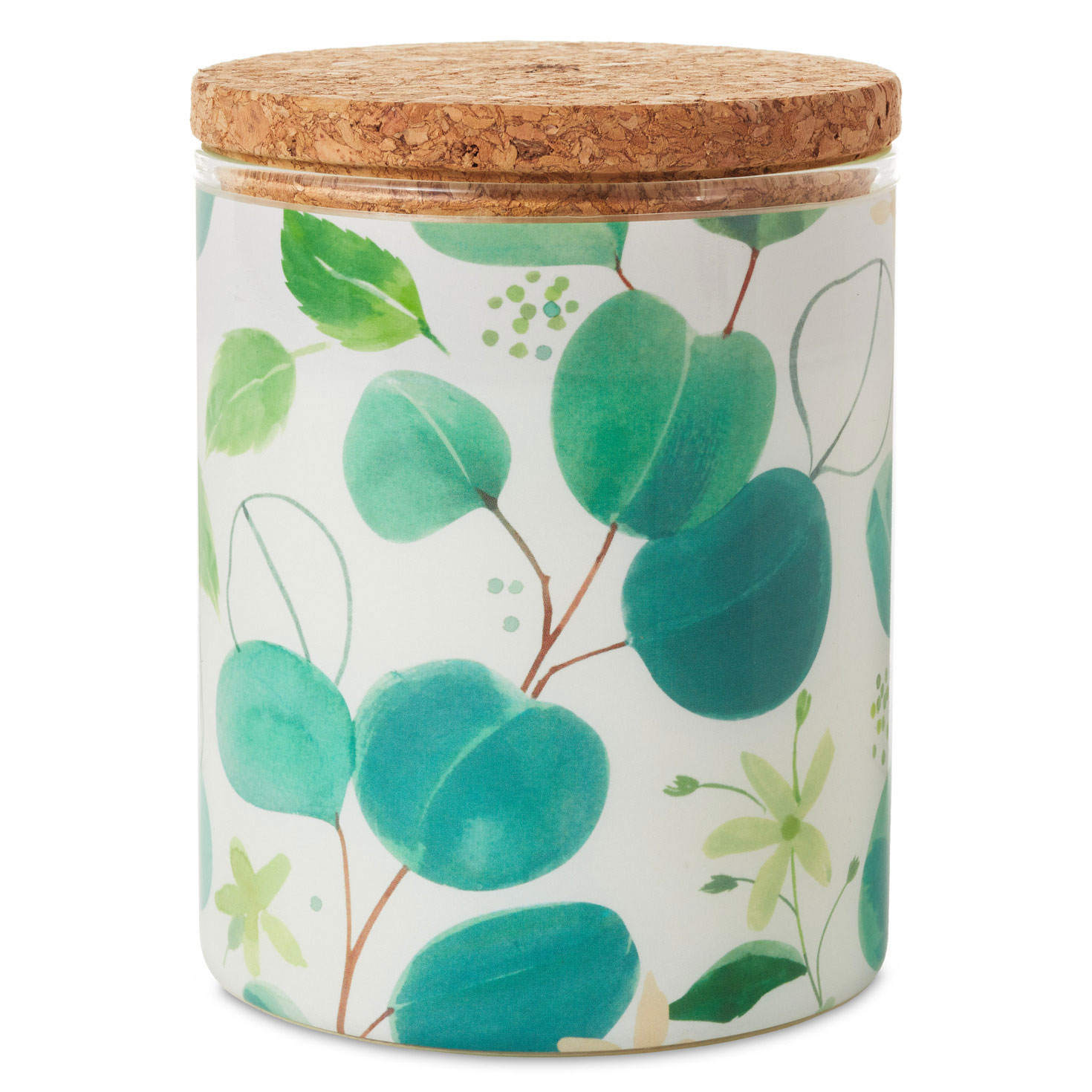 Fresh Mint and Eucalyptus Scented 2-Wick Jar Candle, 14.5 oz. - Candles ...
