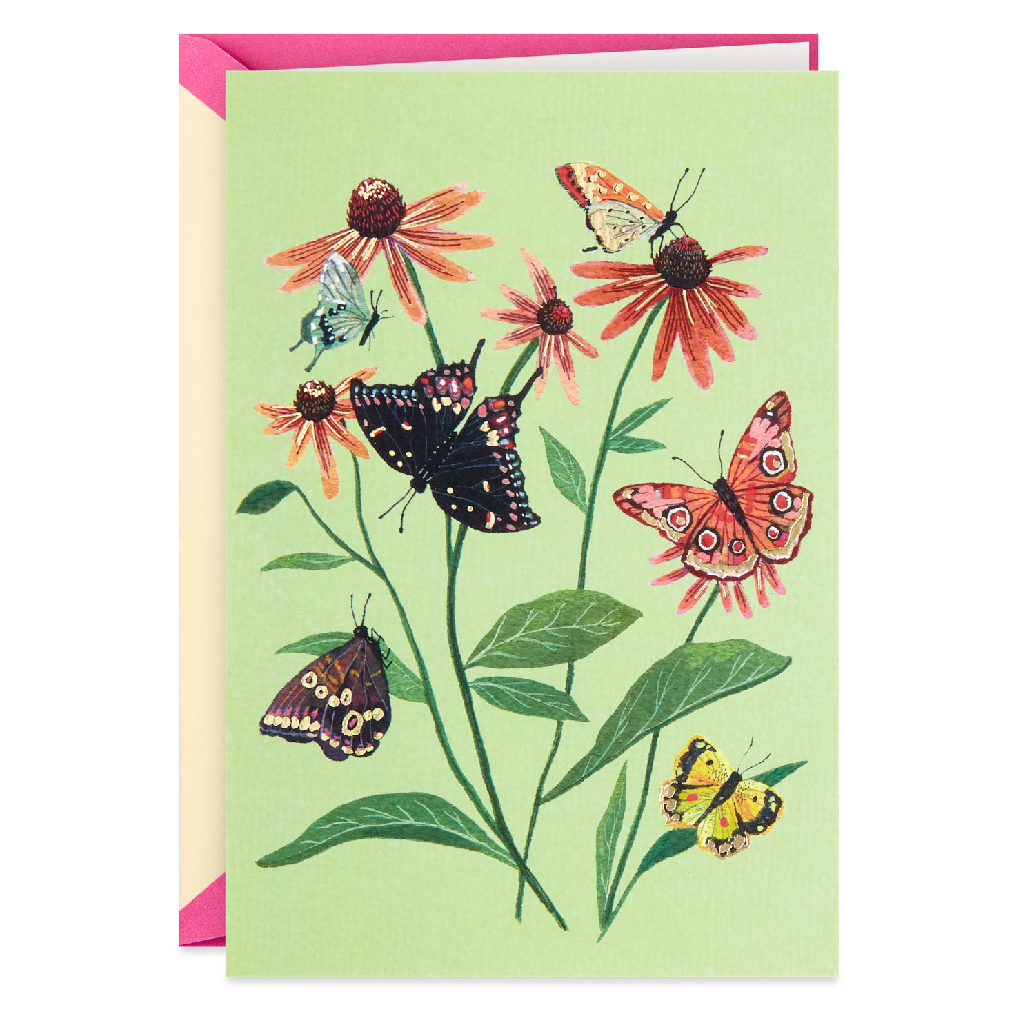 butterflies and coneflowers blank card greeting cards