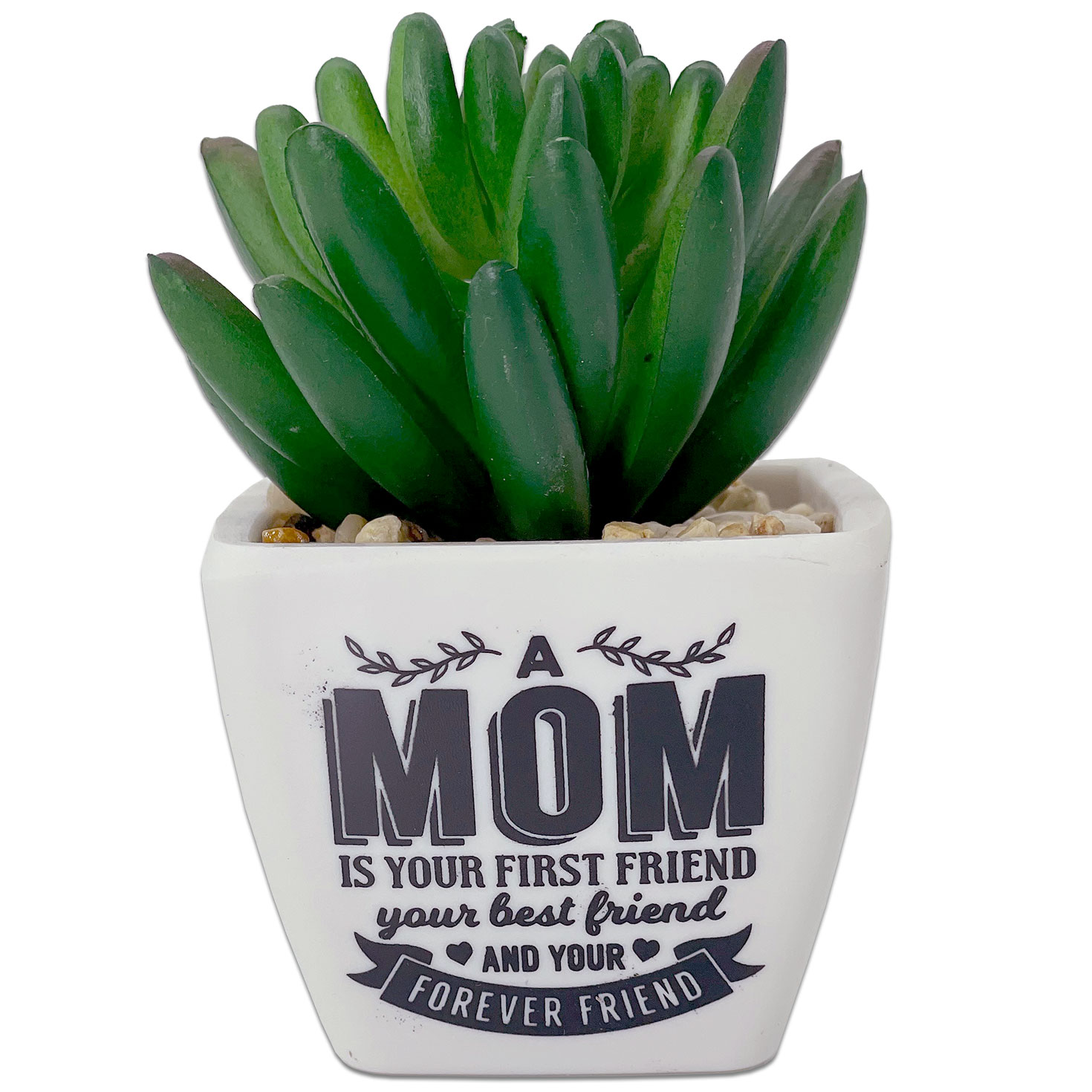 https://www.hallmark.com/on/demandware.static/-/Sites-hallmark-master/default/dw60cb603d/images/finished-goods/products/281000003/Faux-Potted-Succulent-for-Mom_281000003_01.jpg