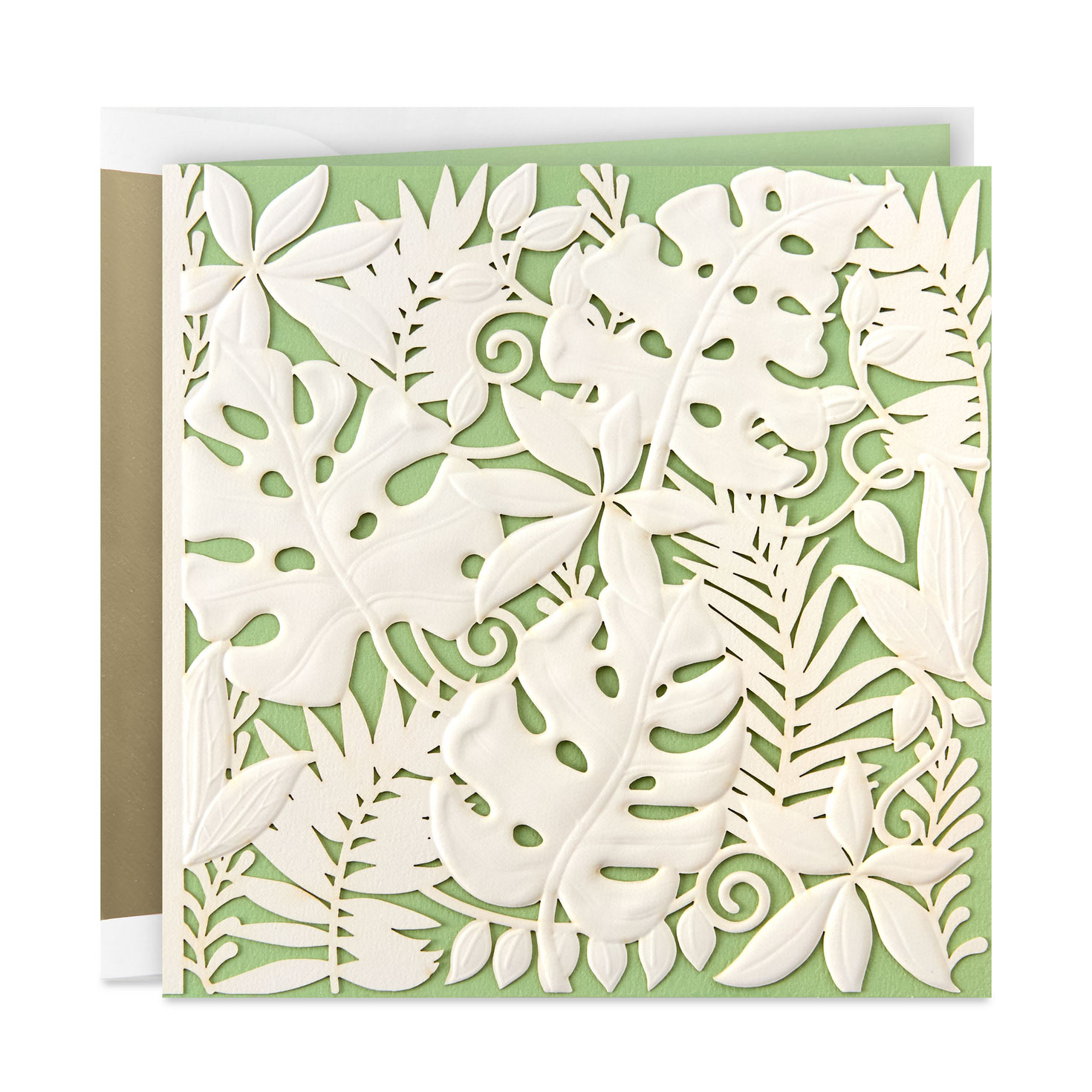 White Tropical Leaves on Mint Green Blank Card - Greeting Cards | Hallmark