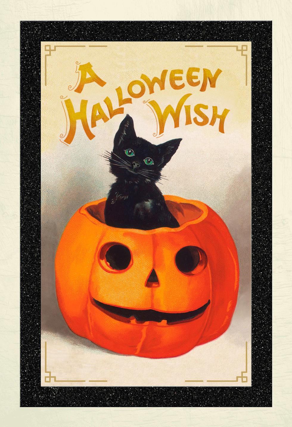 Vintage Black Cat and Jack-O'-Lantern Halloween Card ...