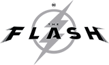 DC™ The Flash™ Ornament, DC™ The Flash™ Ornament, , licensedLogo