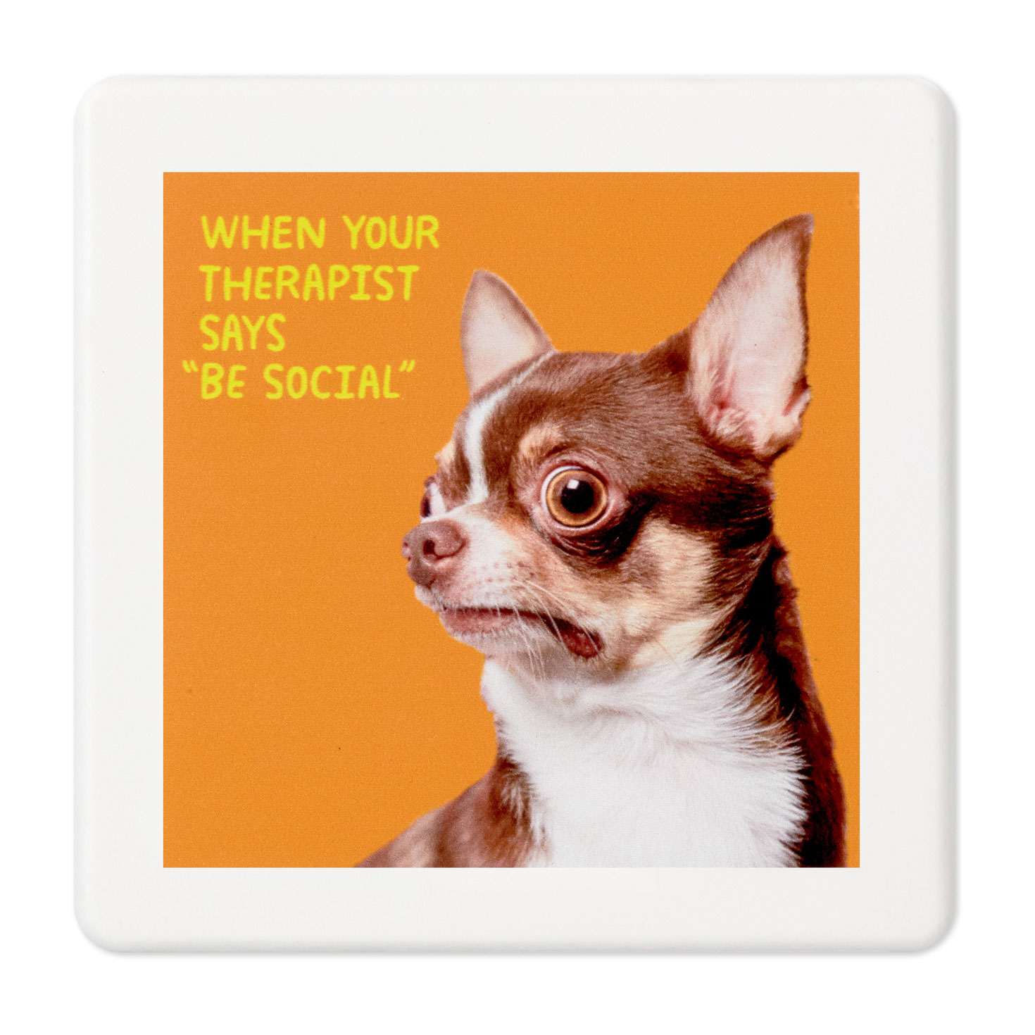 Scared Chihuahua Photo Funny Coaster Kitchen Accessories Hallmark