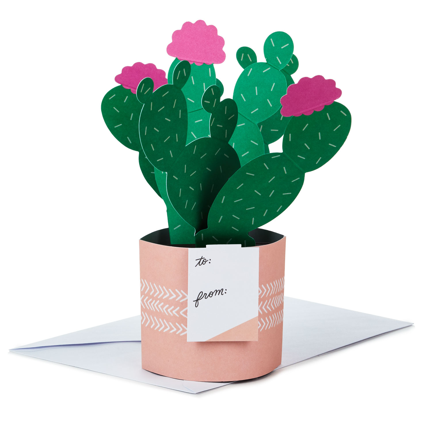 Cactus Looking Sharp 3D Pop-Up Card - Greeting Cards | Hallmark