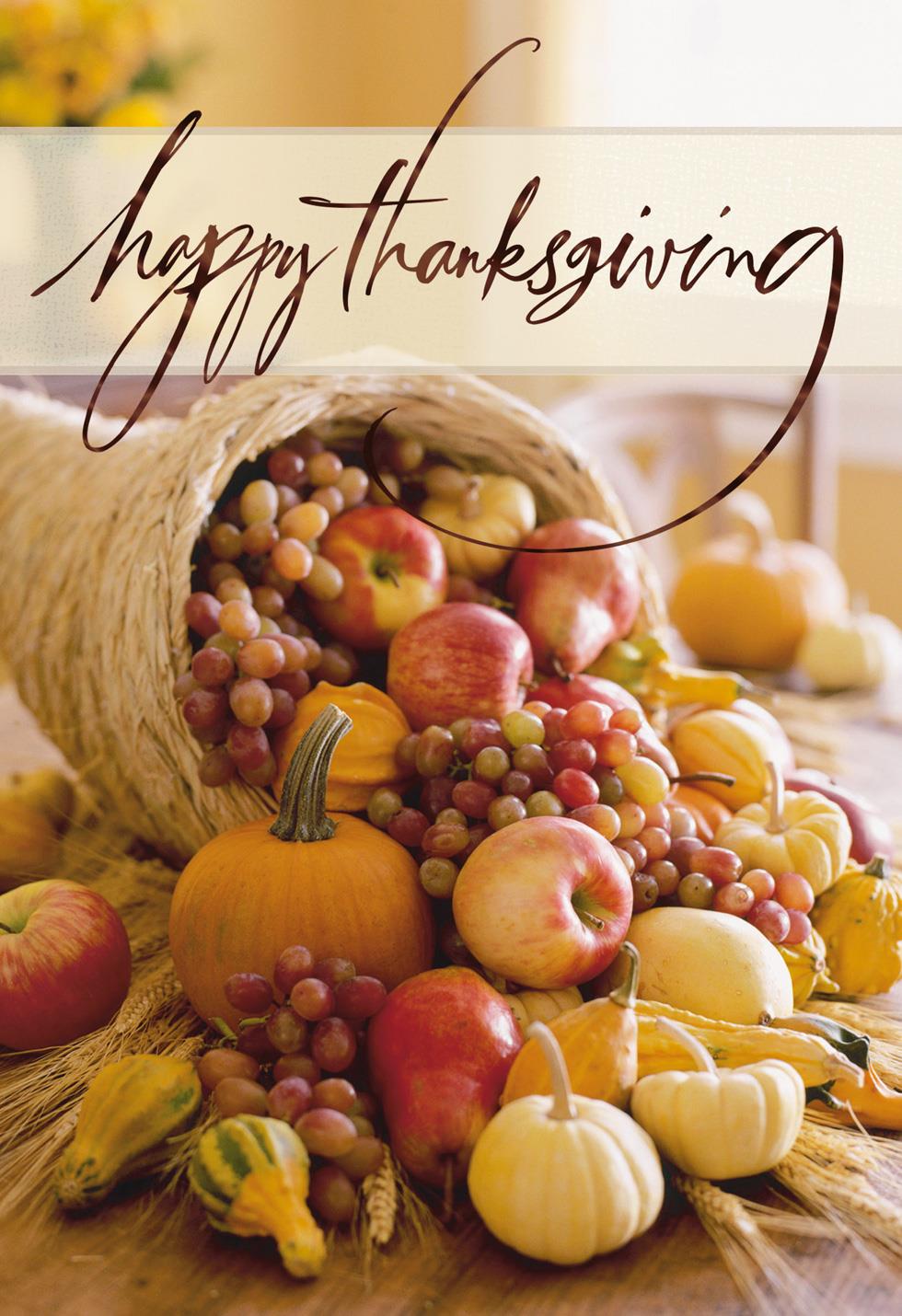 Fall Fruit Cornucopia Thanksgiving Card - Greeting Cards ...