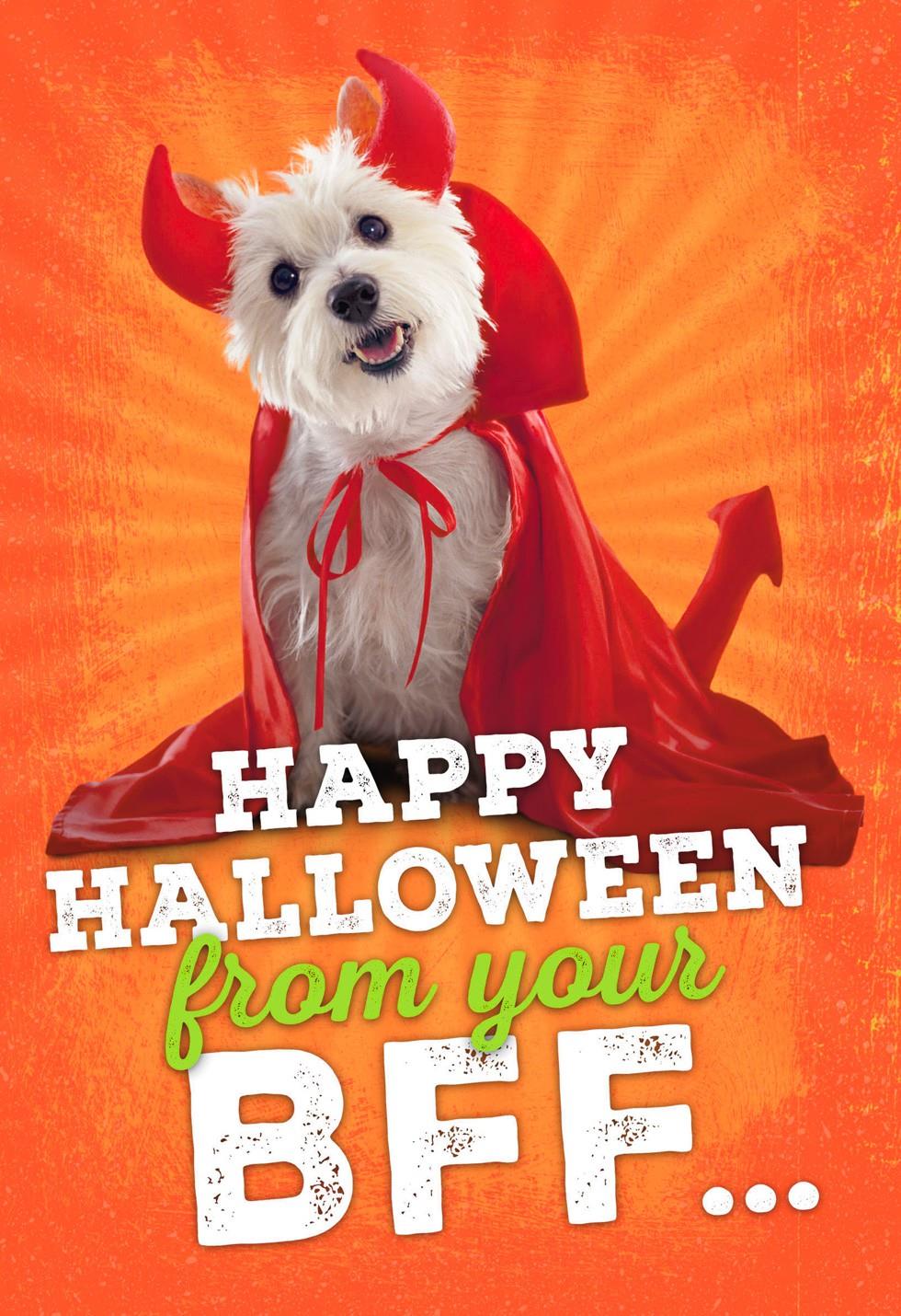 greeting card make Furry Hallmark Best Cards Halloween Card Greeting Friend greeting card make Furry Hallmark Best Cards Halloween Card Greeting Friend