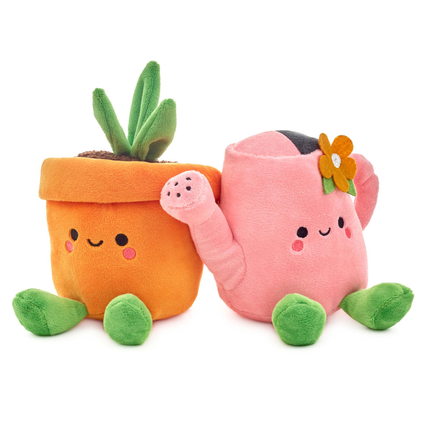 Watering-Can-and-Flower-