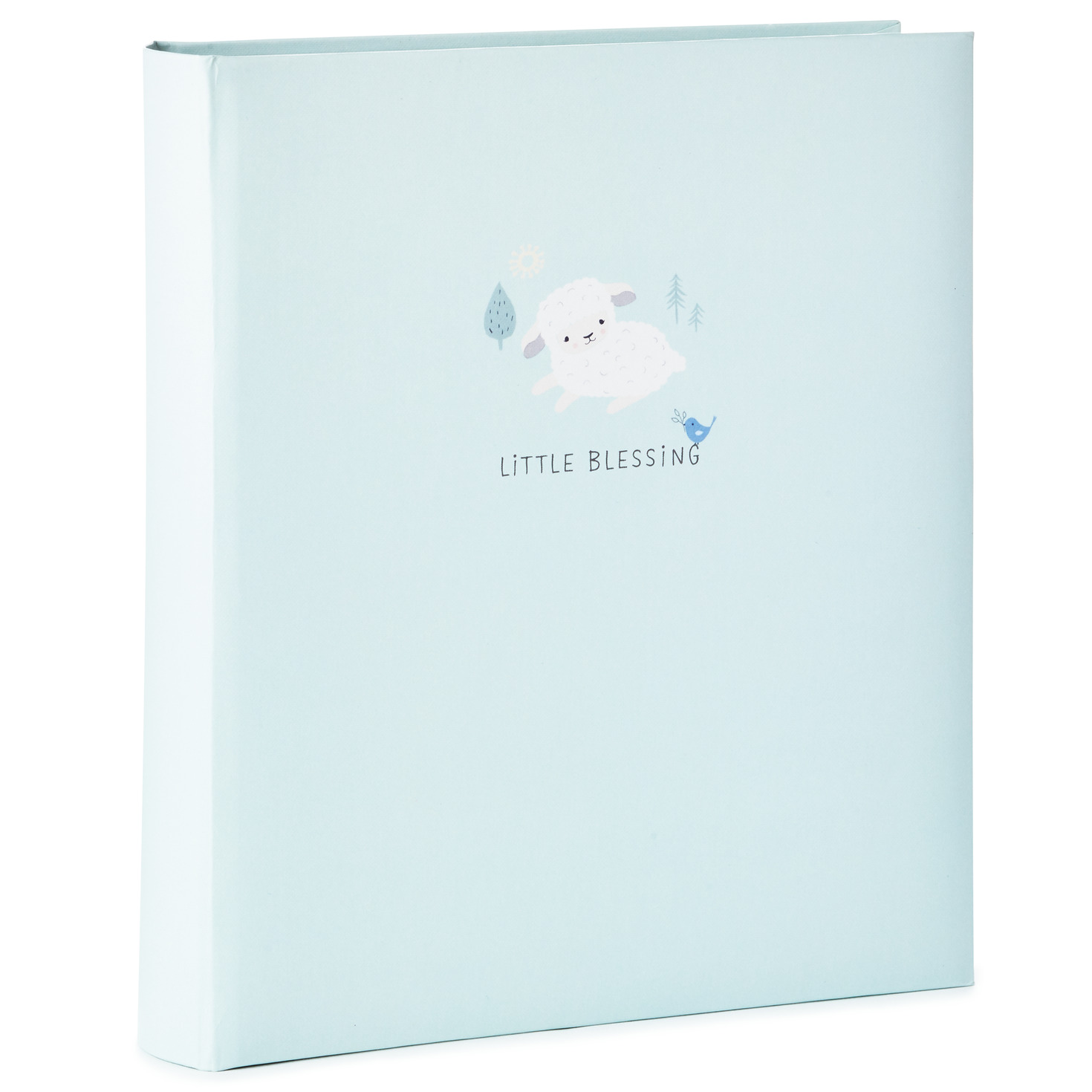 Little Blessings First Five Years Baby Book Scrapbooks Albums