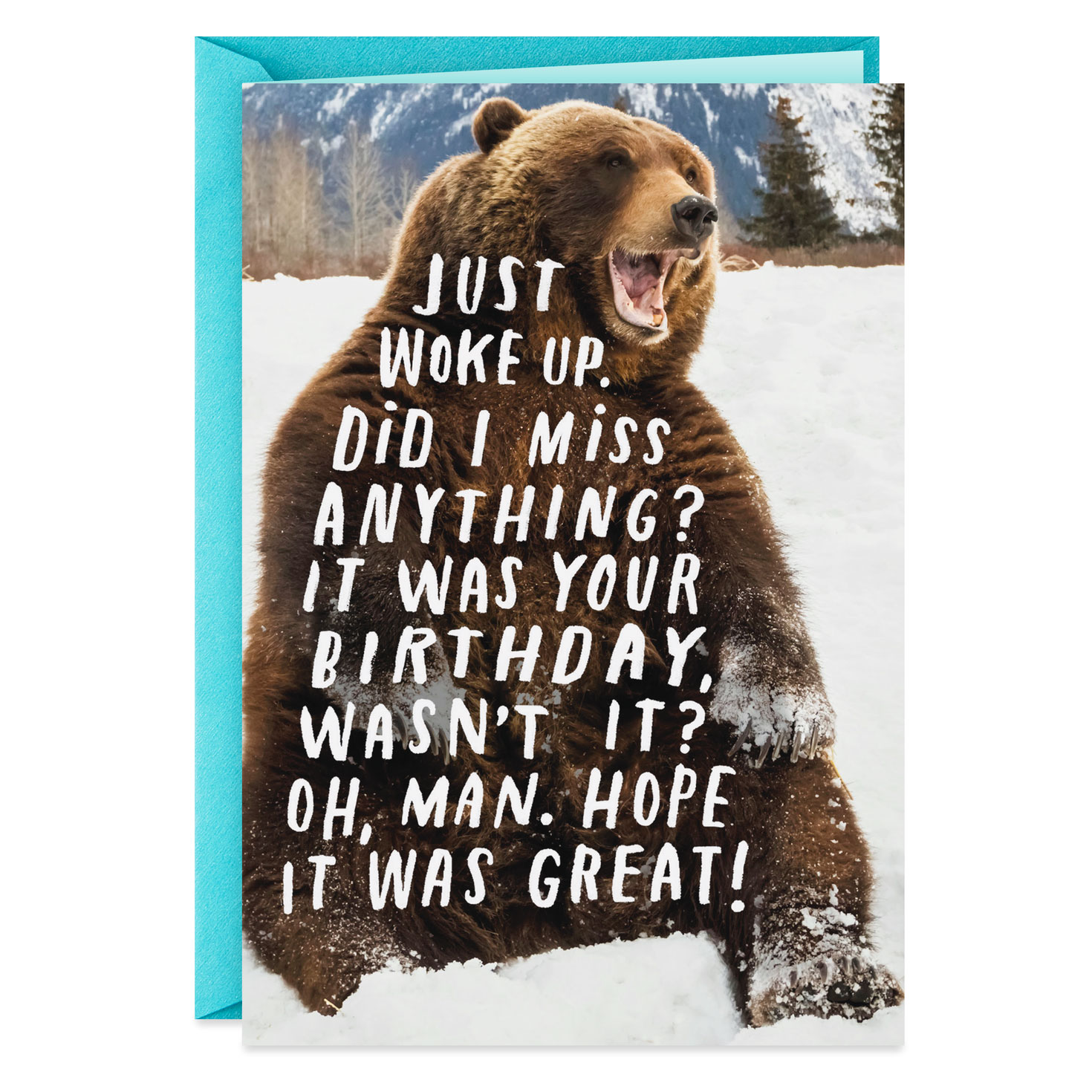 Hibernating Brown Bear Funny Belated Birthday Card ...